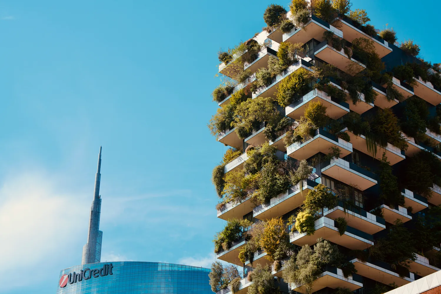 Urban Agriculture Investments: The Rise of Vertical Farms in Metropolises