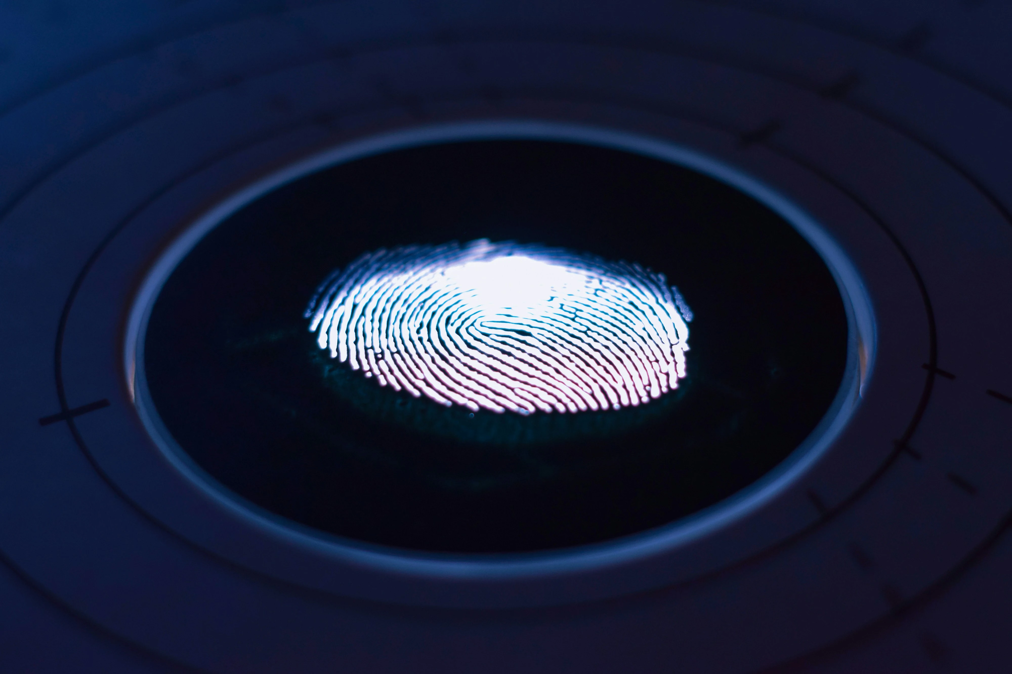 The Rise of Biometric Technologies in Securing Financial Transactions